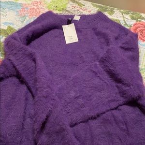 H and M purple cropped sweater